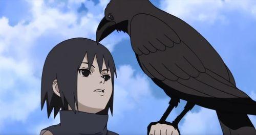 火影最新爆料秽土鼬返场,鼬神归来，火影世界风云再起  第3张