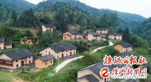 茶陵爆料最新消息新闻,最新突发新闻事件回顾  第2张